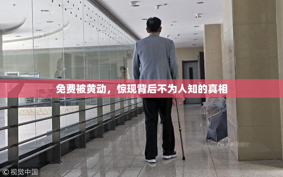 免费被黄动，惊现背后不为人知的真相