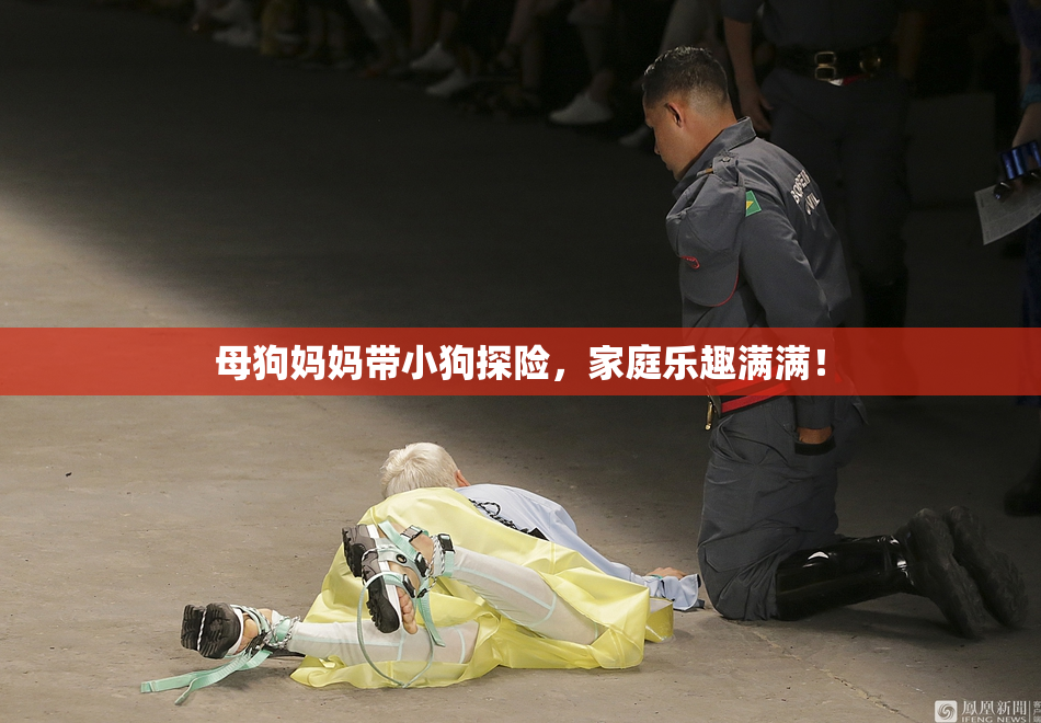 母狗妈妈带小狗探险，家庭乐趣满满！