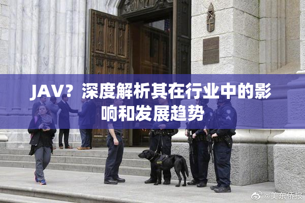 JAV？深度解析其在行业中的影响和发展趋势