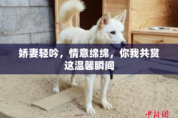 娇妻轻吟，情意绵绵，你我共赏这温馨瞬间