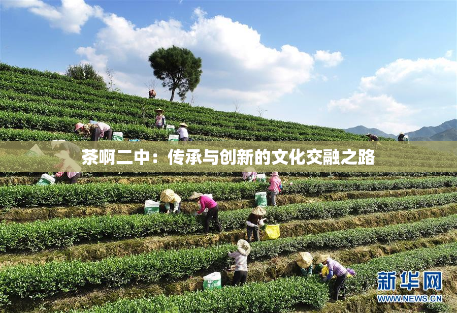 茶啊二中：传承与创新的文化交融之路
