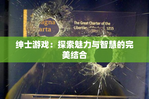 绅士游戏：探索魅力与智慧的完美结合