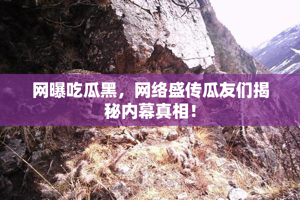 网曝吃瓜黑，网络盛传瓜友们揭秘内幕真相！