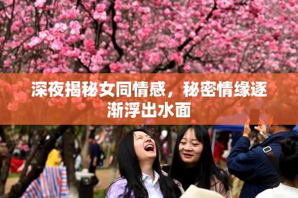 深夜揭秘女同情感，秘密情缘逐渐浮出水面