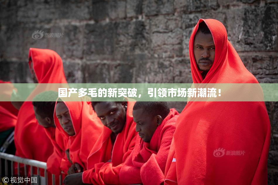 国产多毛的新突破，引领市场新潮流！