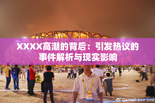 XXXX高潮的背后：引发热议的事件解析与现实影响