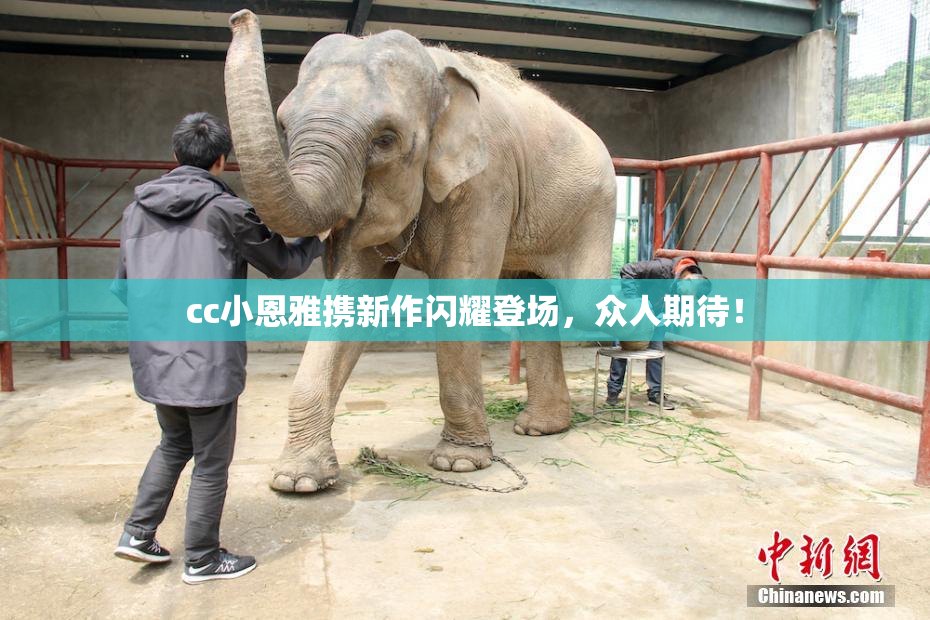 cc小恩雅携新作闪耀登场，众人期待！