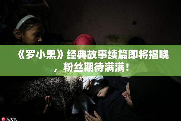 《罗小黑》经典故事续篇即将揭晓，粉丝期待满满！
