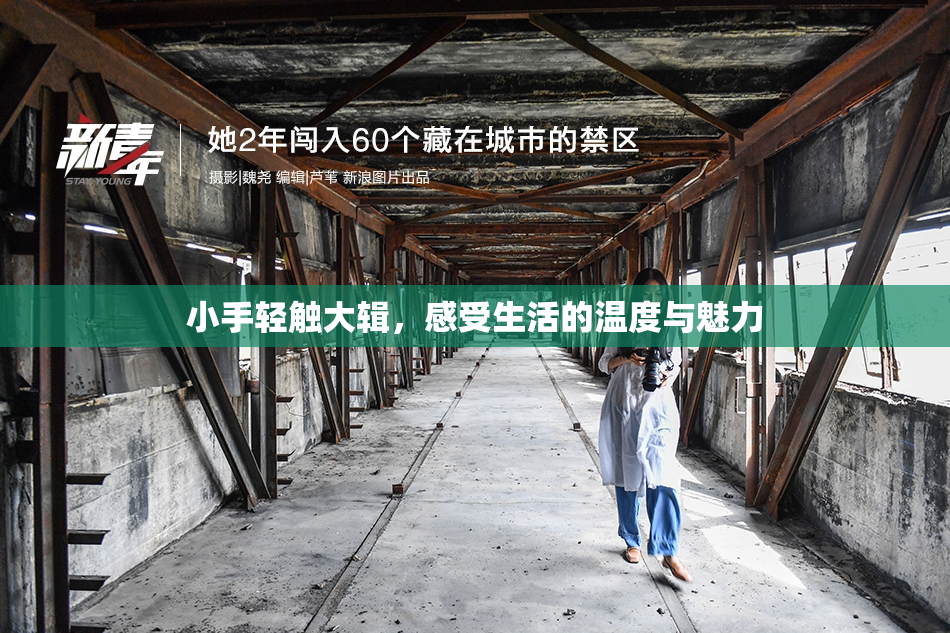 小手轻触大辑，感受生活的温度与魅力