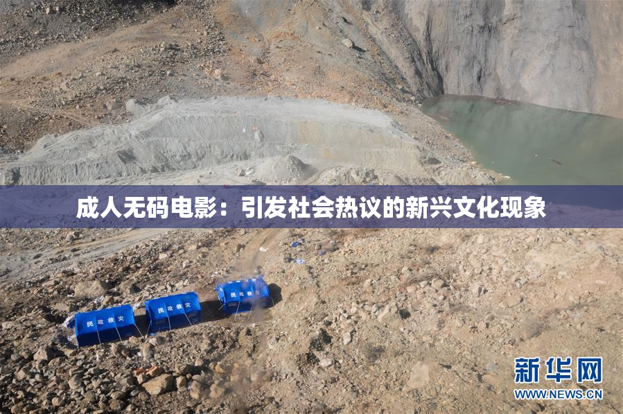成人无码电影：引发社会热议的新兴文化现象