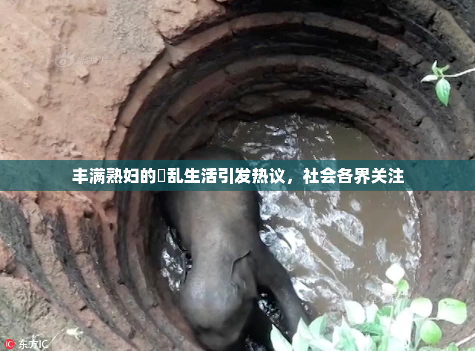 丰满熟妇的婬乱生活引发热议，社会各界关注