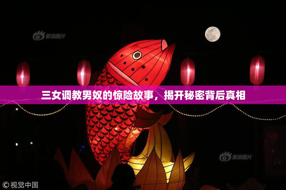 三女调教男奴的惊险故事，揭开秘密背后真相