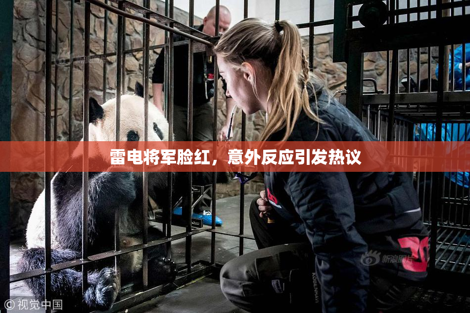 雷电将军脸红，意外反应引发热议