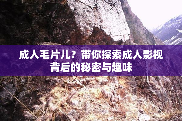 成人毛片儿？带你探索成人影视背后的秘密与趣味