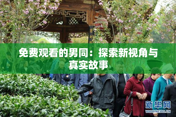 免费观看的男同：探索新视角与真实故事