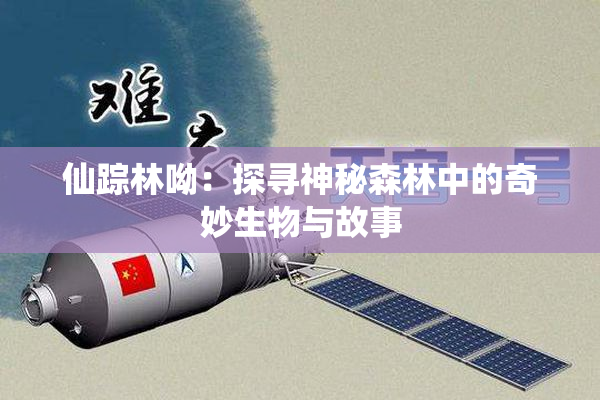 仙踪林呦：探寻神秘森林中的奇妙生物与故事