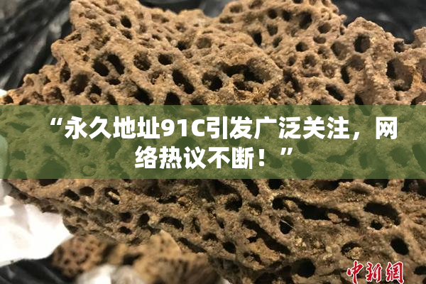 “永久地址91C引发广泛关注，网络热议不断！”