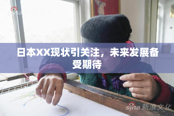 日本XX现状引关注，未来发展备受期待