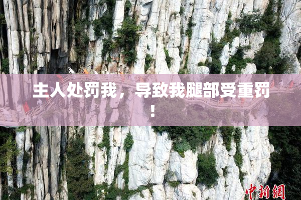 主人处罚我，导致我腿部受重罚！