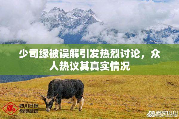 少司缘被误解引发热烈讨论，众人热议其真实情况