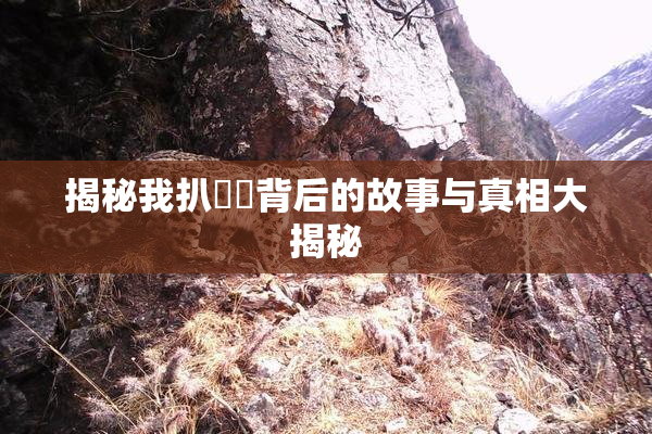 揭秘我扒妺妺背后的故事与真相大揭秘