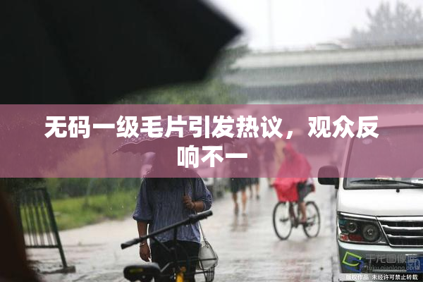 无码一级毛片引发热议，观众反响不一