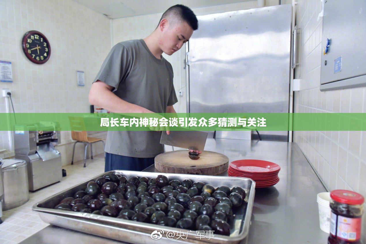局长车内神秘会谈引发众多猜测与关注