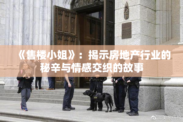 《售楼小姐》：揭示房地产行业的秘辛与情感交织的故事