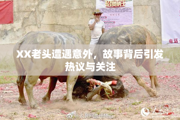 XX老头遭遇意外，故事背后引发热议与关注
