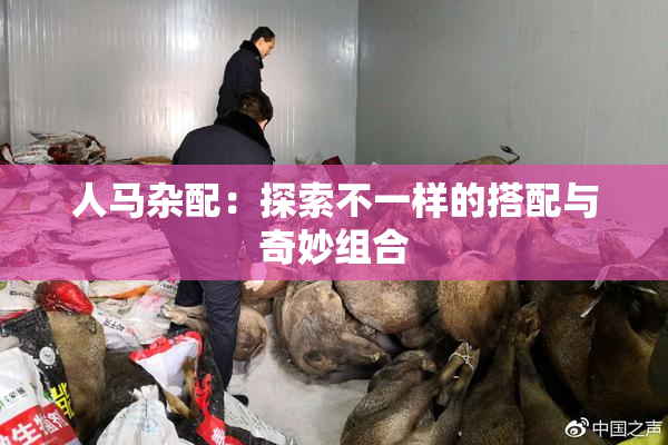 人马杂配：探索不一样的搭配与奇妙组合