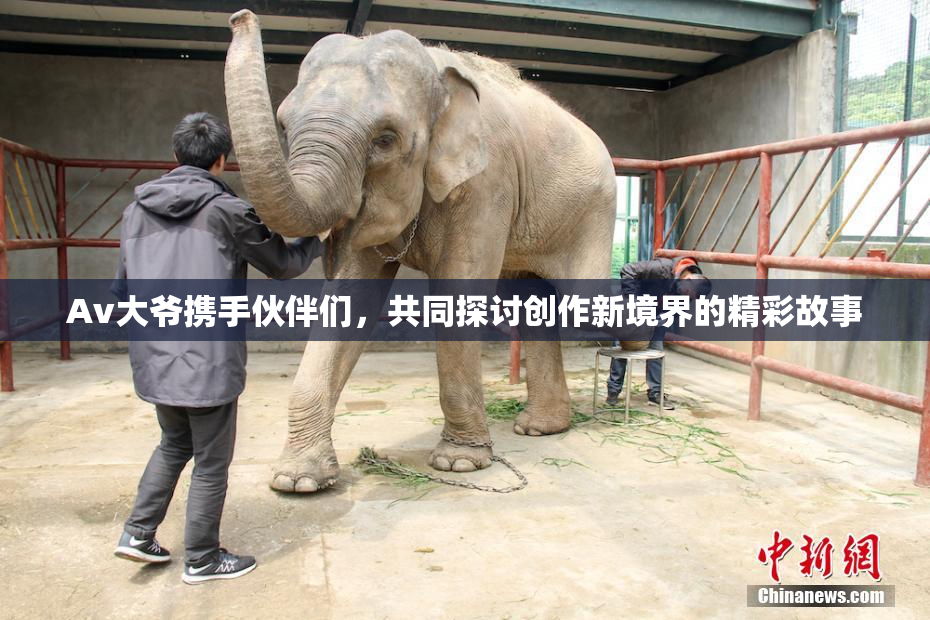 Av大爷携手伙伴们，共同探讨创作新境界的精彩故事