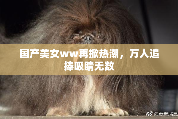 国产美女ww再掀热潮，万人追捧吸睛无数