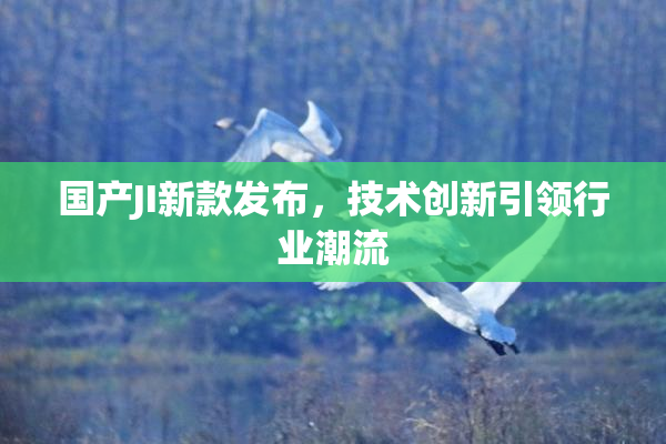 国产JI新款发布，技术创新引领行业潮流