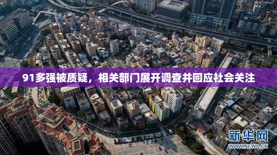 91多强被质疑，相关部门展开调查并回应社会关注