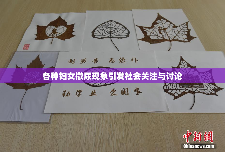 各种妇女撒尿现象引发社会关注与讨论