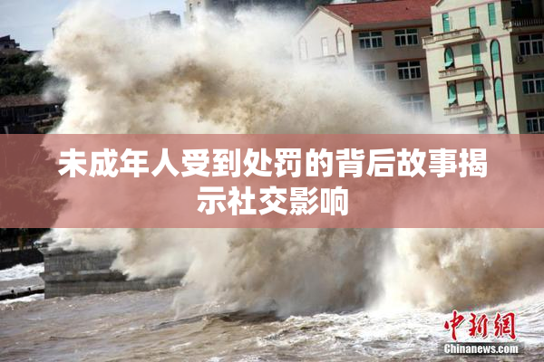 未成年人受到处罚的背后故事揭示社交影响