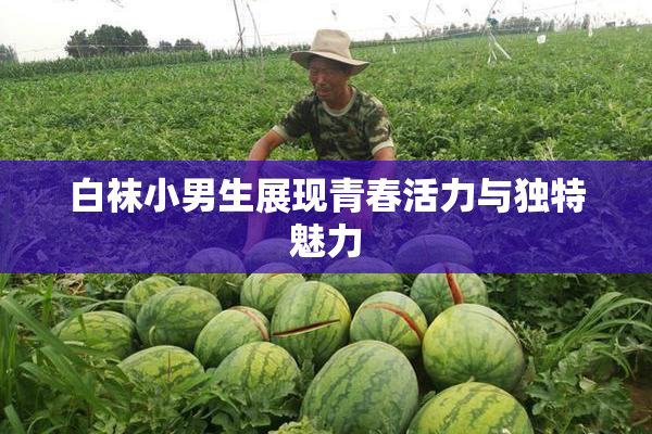 白袜小男生展现青春活力与独特魅力