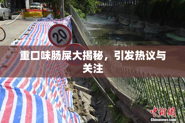 重口味肠屎大揭秘，引发热议与关注