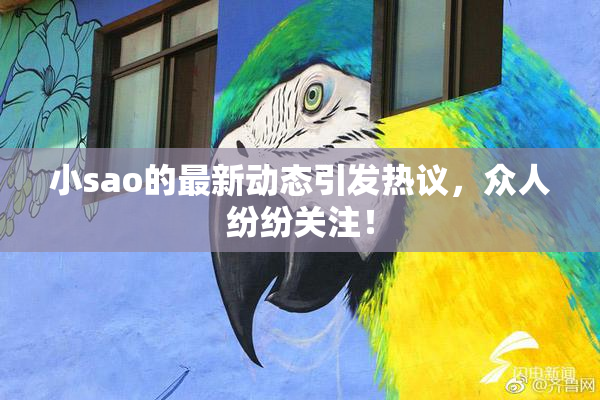 小sao的最新动态引发热议，众人纷纷关注！