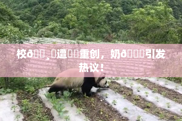 校🌸‌遭❌‌重创，奶🔞引发热议！