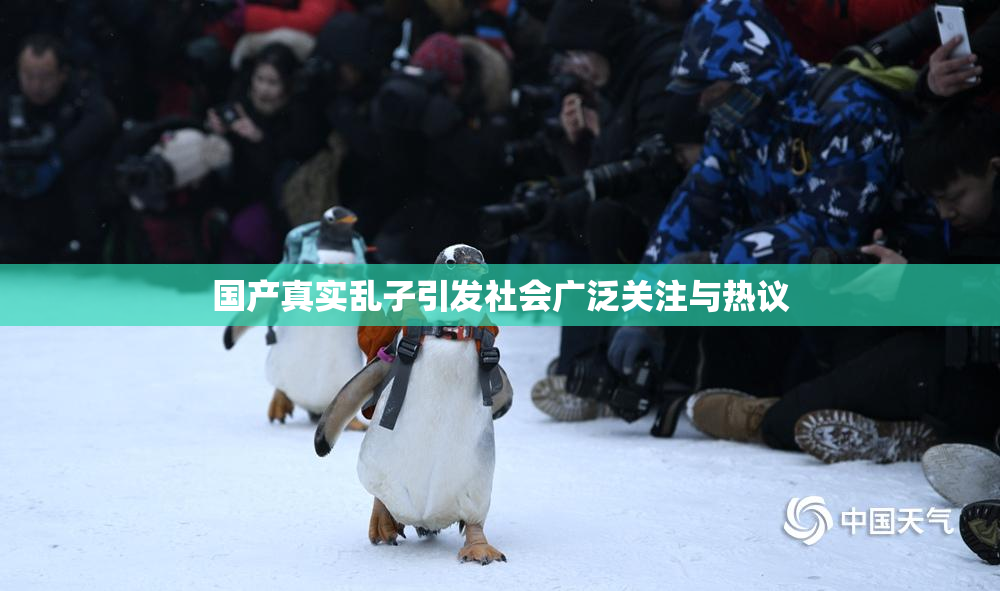 国产真实乱子引发社会广泛关注与热议