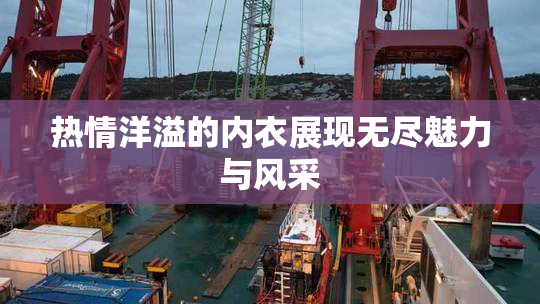 热情洋溢的内衣展现无尽魅力与风采