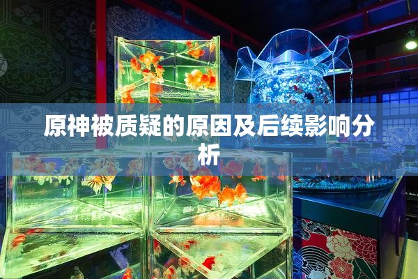 原神被质疑的原因及后续影响分析