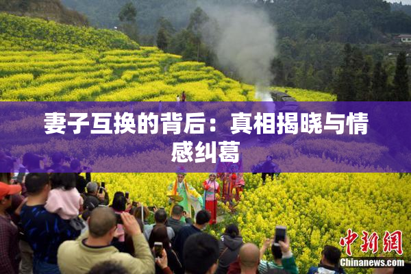 妻子互换的背后：真相揭晓与情感纠葛