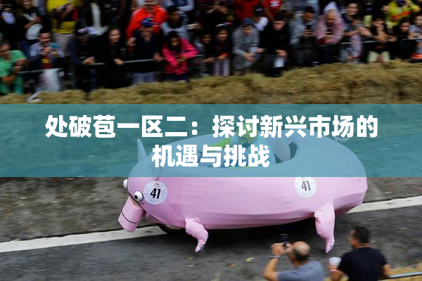 处破苞一区二：探讨新兴市场的机遇与挑战
