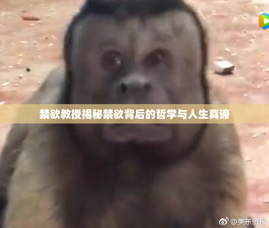 禁欲教授揭秘禁欲背后的哲学与人生真谛