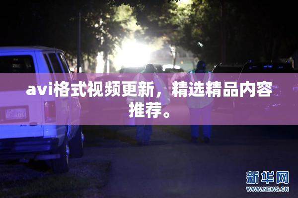 avi格式视频更新，精选精品内容推荐。