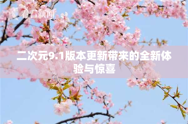 二次元9.1版本更新带来的全新体验与惊喜