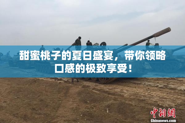 甜蜜桃子的夏日盛宴，带你领略口感的极致享受！