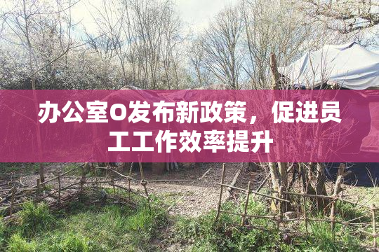 办公室O发布新政策，促进员工工作效率提升